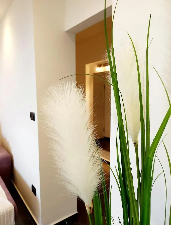 Luxury Apartment Aurora - Cod 0409 Opatija 0*,  Croatia